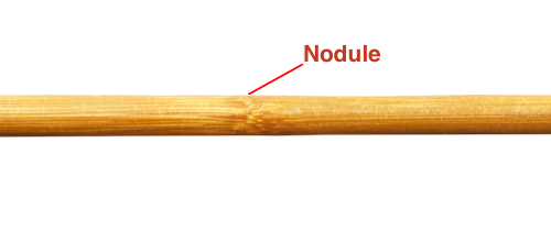 Bamboo nodule
